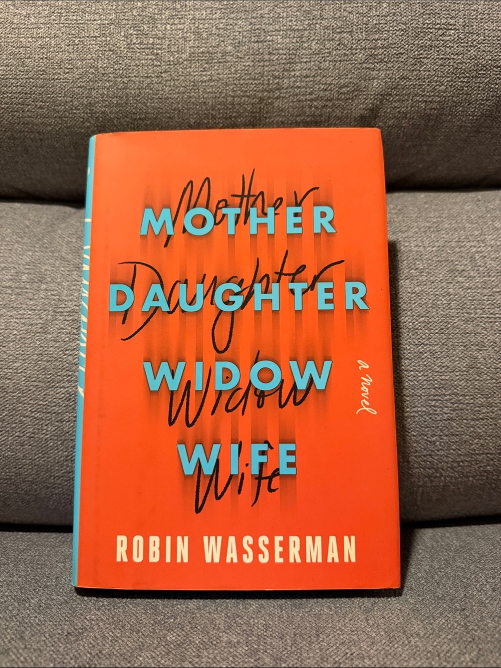 📚 Mother Daughter Widow Wife by Robin Wasserman